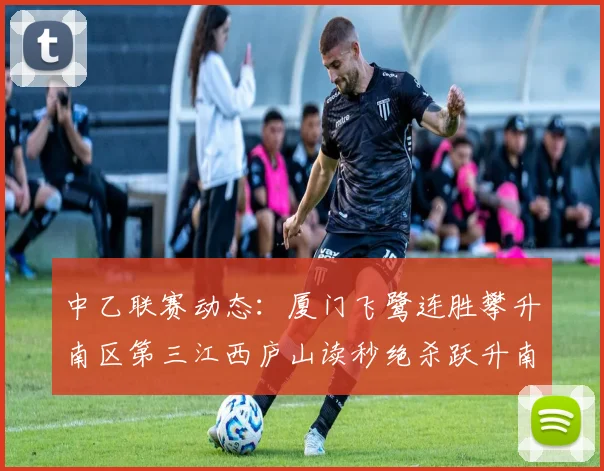 中乙联赛动态：厦门飞鹭连胜攀升南区第三江西庐山读秒绝杀跃升南区第四