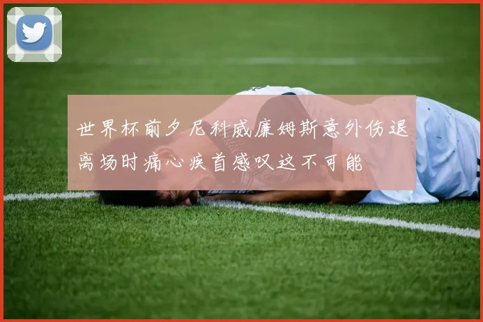 世界杯前夕尼科威廉姆斯意外伤退离场时痛心疾首感叹这不可能