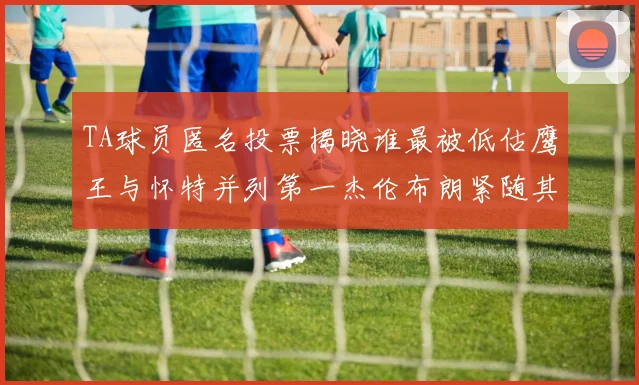 TA球员匿名投票揭晓谁最被低估鹰王与怀特并列第一杰伦布朗紧随其后